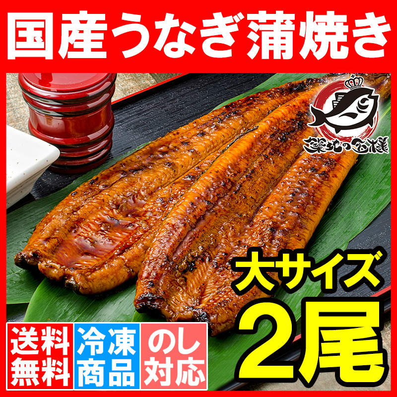 送料無料 国産うなぎ蒲焼き 大サイズ 平均165g前後×2尾