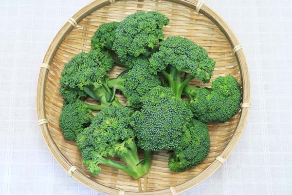 【無肥料・自然栽培】ブロッコリー［徳島県：阿波ツクヨミファーム］【v800】※2/6(金)発送分